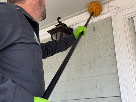 🕸 Why Web Removal Matters: The Overlooked Step That Keeps Spiders Away for Good in Rialto & Fontana