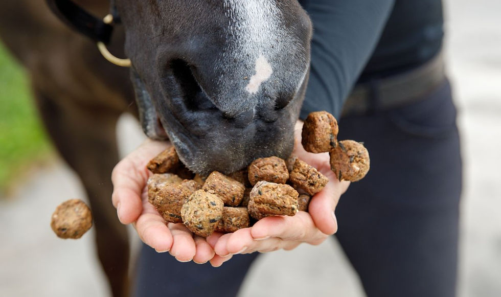best_horse_treats_tidbits_equine_elixirs_2_edited.jpg