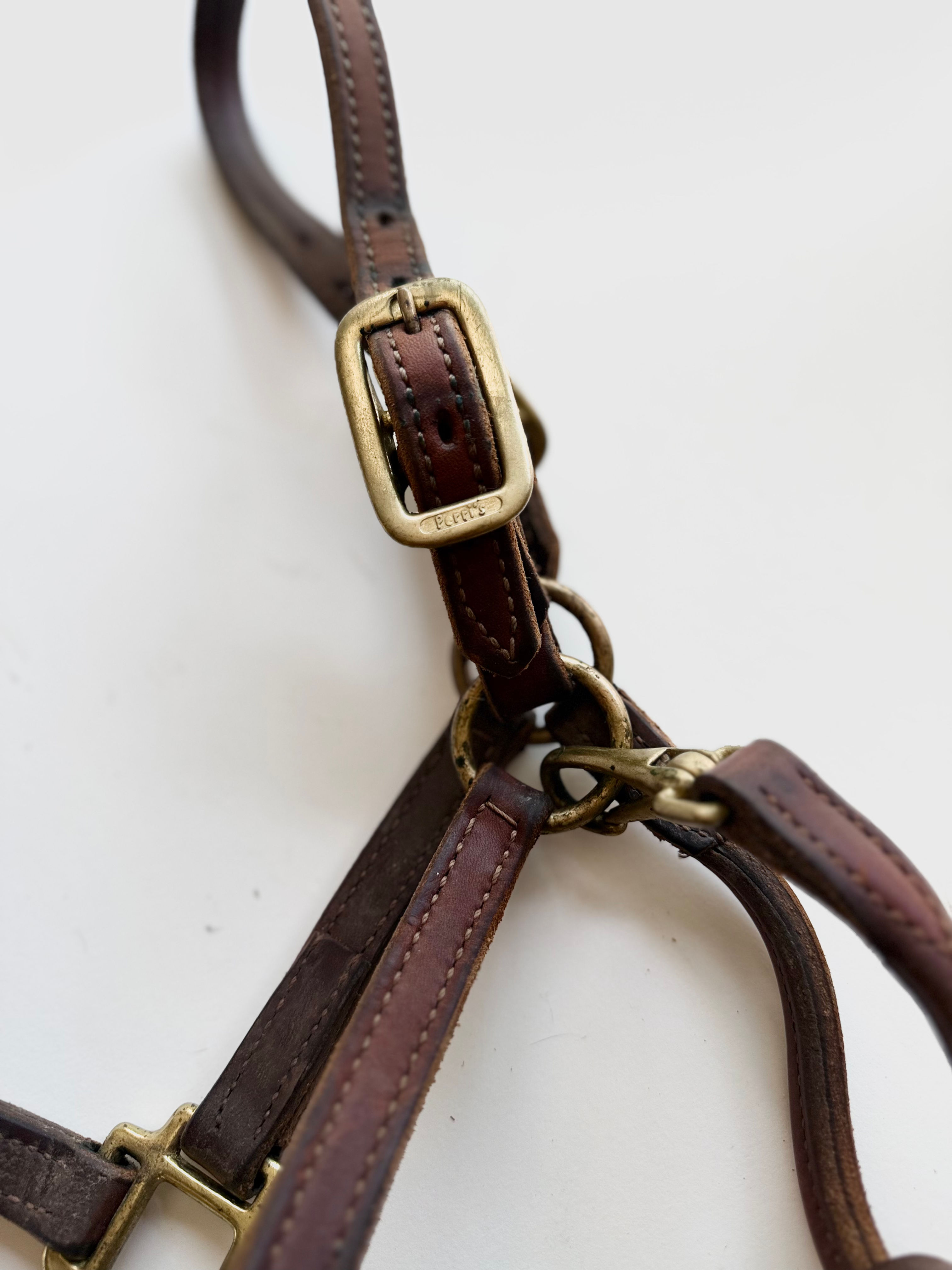 Perri's Leather Halter- Pony