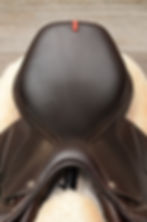 Thumbnail: 17.5" Equipe | 2022 | L | 5"