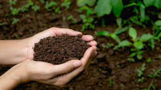 Getting Our Hands Dirty