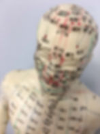 Chinese Medicine and Yin Yoga Online Course