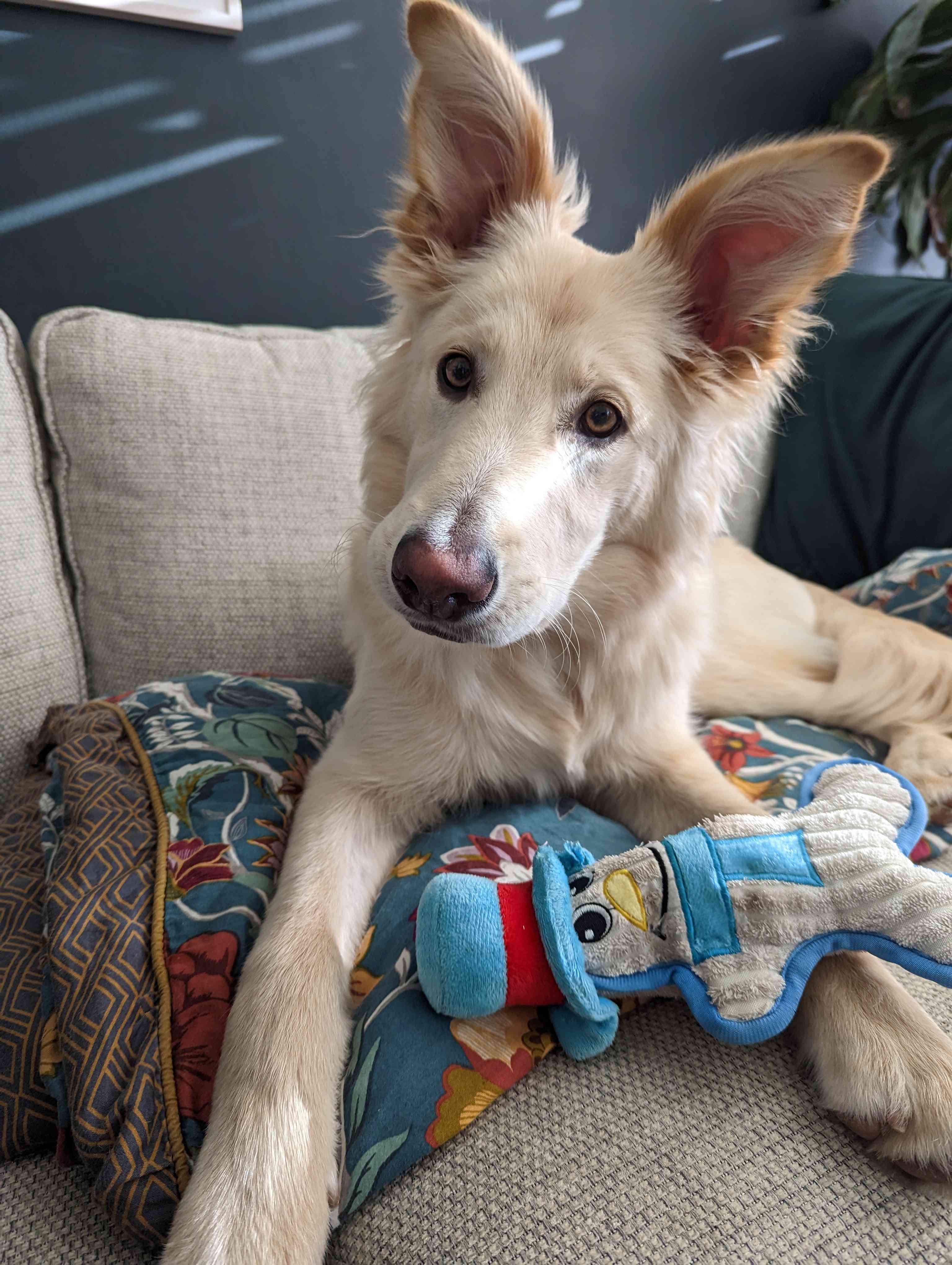 Untitled design (4).jpg