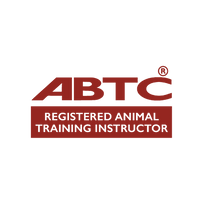 ABTC Accredited Animal Training Instructor – Buttons and Leash