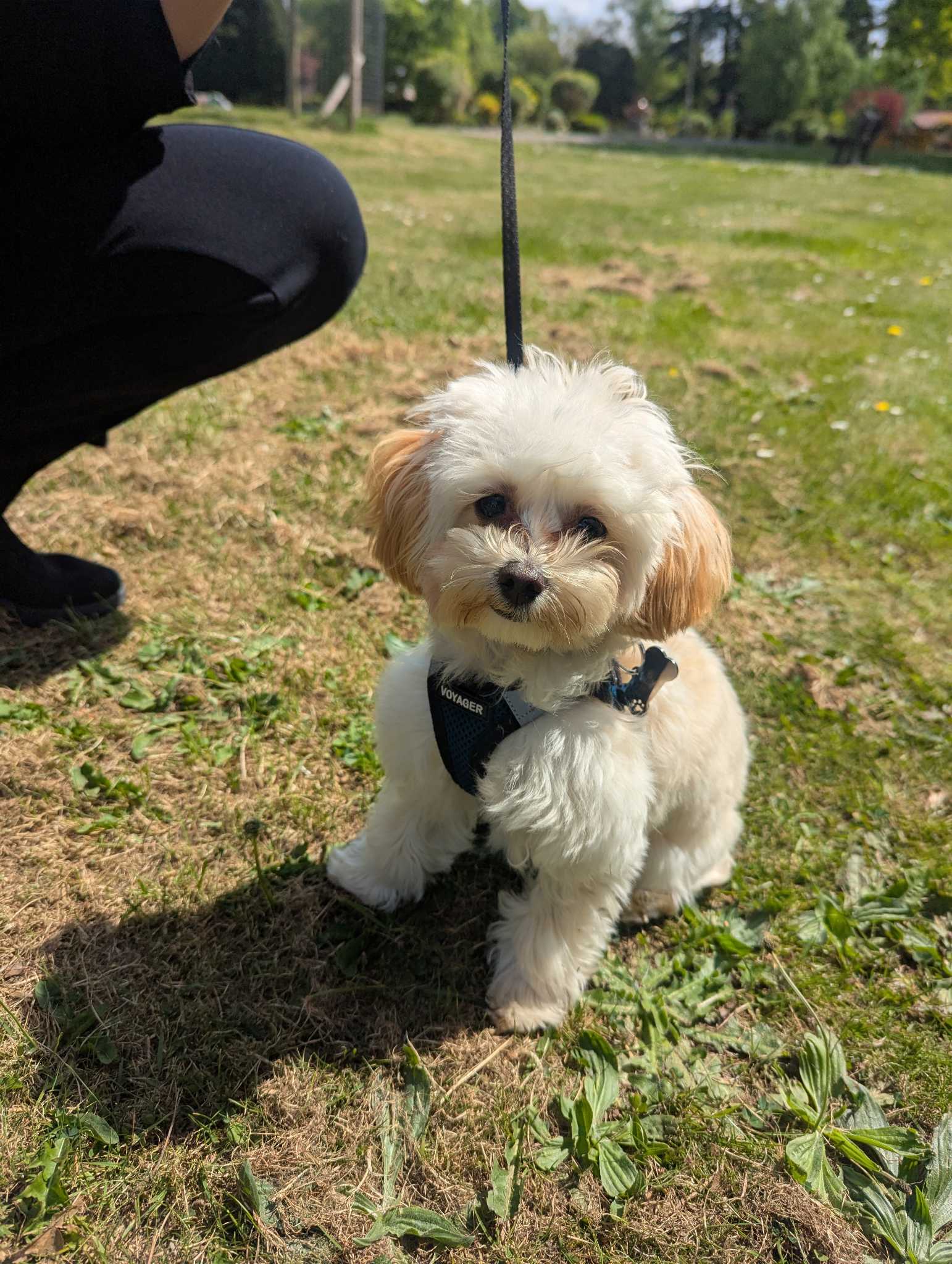 Untitled design (1) (1).jpg