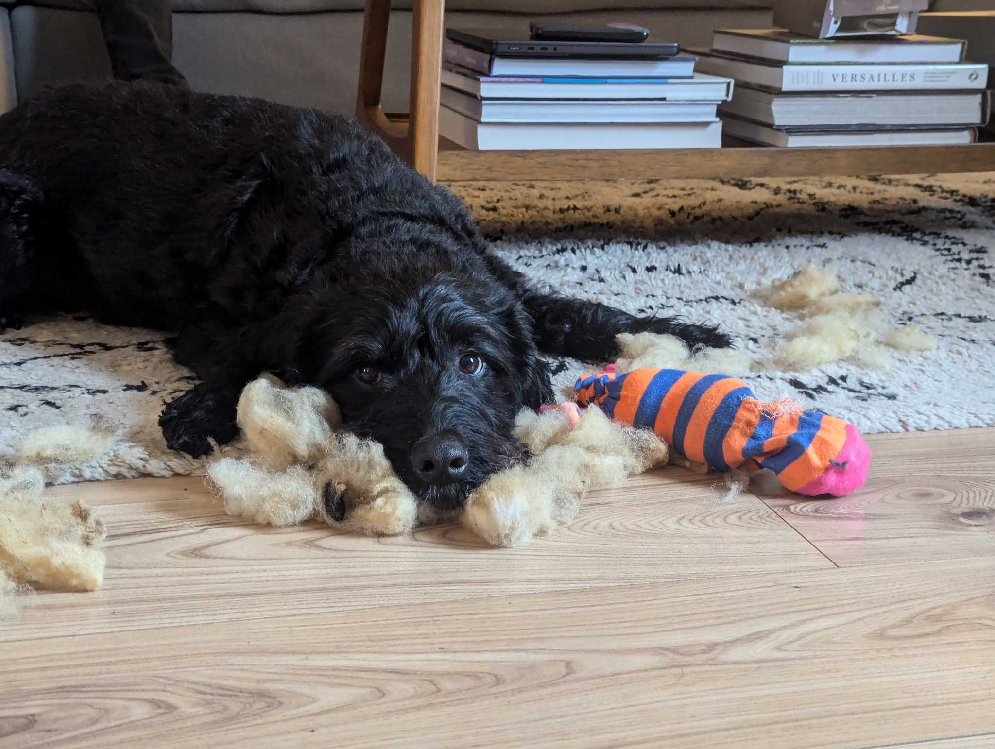 Untitled design (13).jpg