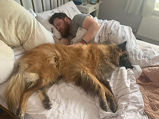 Overseas Rescue Dog Behaviourist