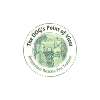 The Dog’s Point of View Approved Trainer – Buttons and Leash