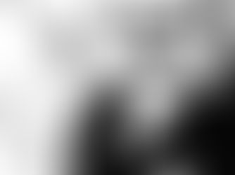 ALFREDO SOSA: Artista plástico en Los Cabos