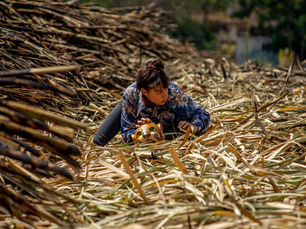 Tanya Covarrubias: Promoviendo el arte comunitario desde la dirección general del Instituto de la Cultura y las Artes del municipio de Los Cabos