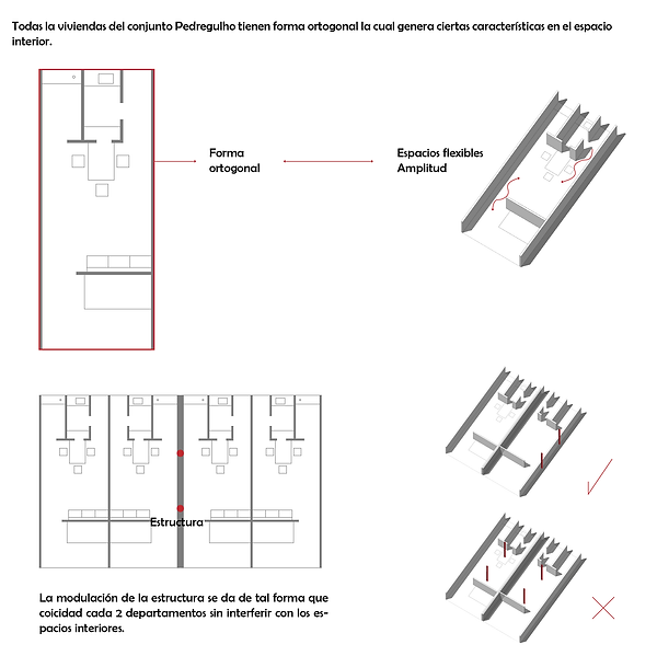 CONTORNO Y FORMA-25.png