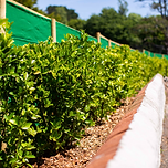 Screenshot 2024-12-12 at 10.55.45.png