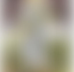 AstroTarot Forecast for December 2021