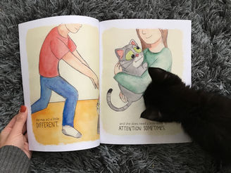 Discussion questions for "Meet Maya Cat" book