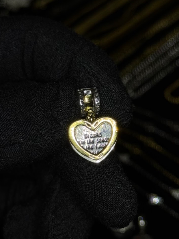 Dreams Are The Seeds Of The Future Charm 925 Sterling Silver