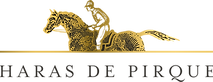 Logo_HaraDePirque.png