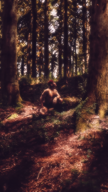 Hakone - Ancient Tokaido Trail