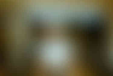 Seibu Railway Campaign Model