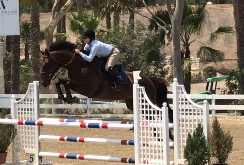 Hannink Equine Center