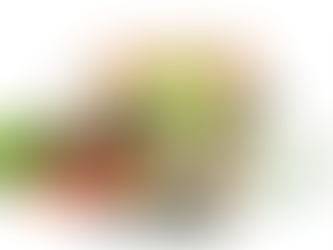 Why, HelloFresh…