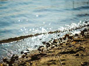 North of South Haven by Rob & Dayna Edwards