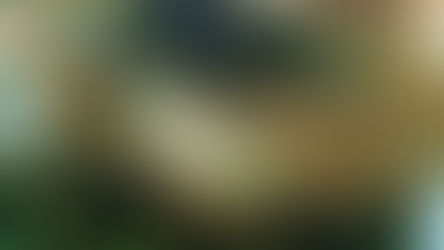 Not Your Mom's Hoagie!