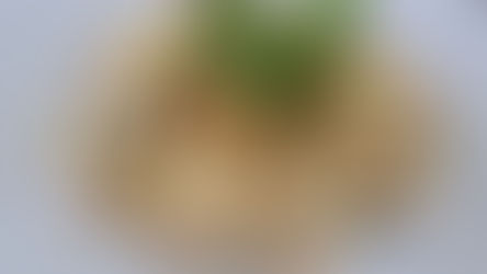 Creamy Tofu Casserole