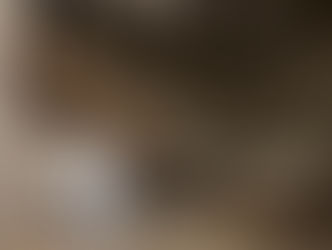 Comment se créer le gaz des pets ?