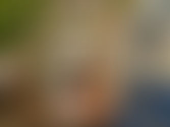 食山海 品嘗碗中的四季變化｜花蓮永續經營餐廳 有機料理 老宅