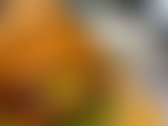 ：Hang Out Burger慶降餐車開到座位有限小吃部！｜花蓮志學 壽豐美食 美式漢堡 