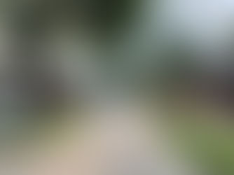 花蓮將軍府1936 日式風格一日遊！｜花蓮最新景點 預約入園 餐廳訂位資訊