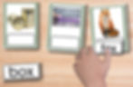 a cvc word to picture matching card set that can be purchased and printed to use.