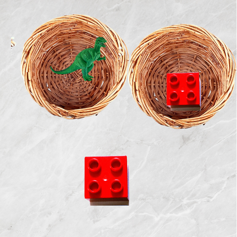 2 small wicker baskets. one basket hold a green dinosaur, one basket holds a red block. a red block is sitting in front of the baskets.