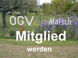 Beitritt in den Verein