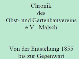 Vereinschronik