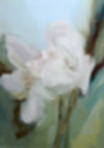 Fleurs printanières 2