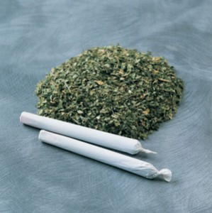 Tabaco Cannabis