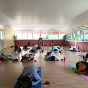 Découvrez les nouvelles offres de Hatha Yoga Limoges !