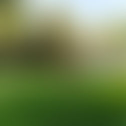 YOGA A LIMOGES | Ouverture de la saison des cours de yoga en plein air ☀️