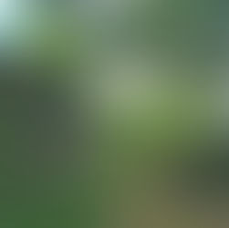 AGENDA | Retraite Cocooning d’Automne