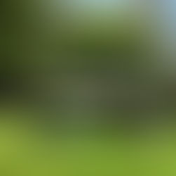 Reprise des cours de yoga en plein air