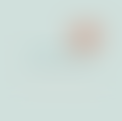 Après-midis portes ouvertes @ La Ruchidée