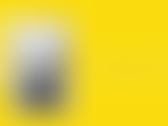 Célébrer le solstice d’été ☀️