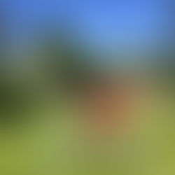 Août pour s'alléger