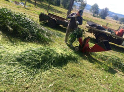 11855675_418452191691513_1962146323177599609_n