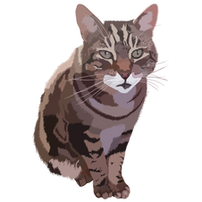 CP_Title_TobyIMG.png