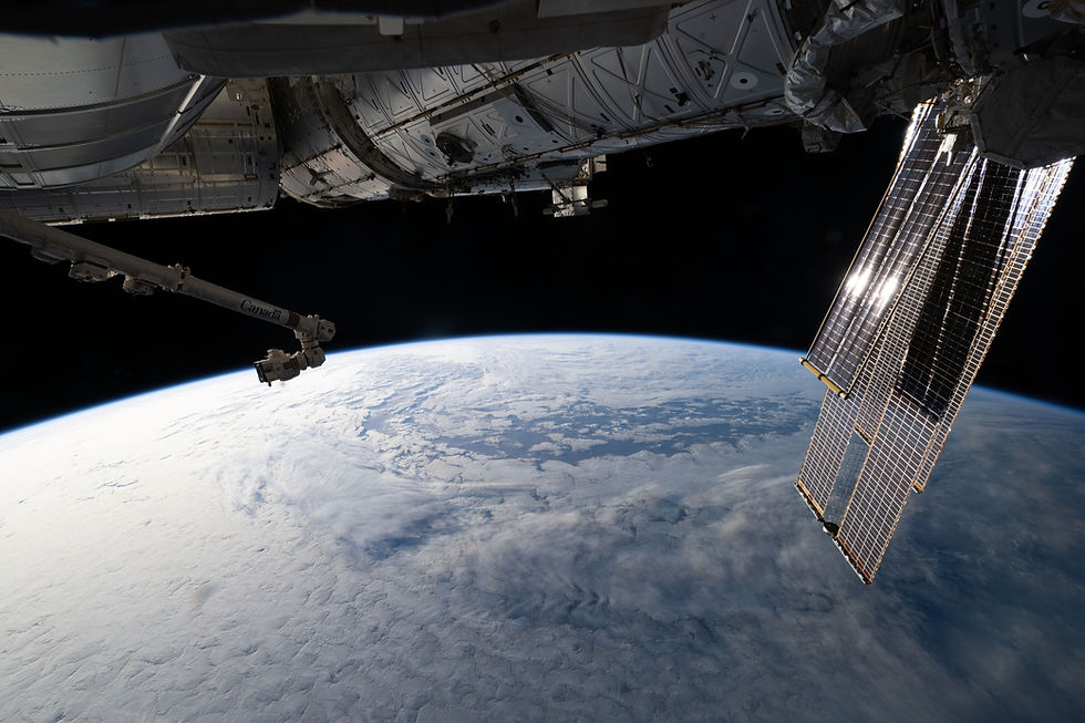 Tecnologia e natureza na mesma foto