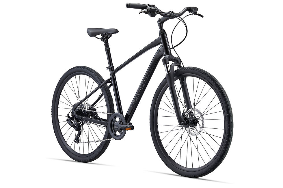 Giant Cypress 2 Fitness Bike Black Front Side