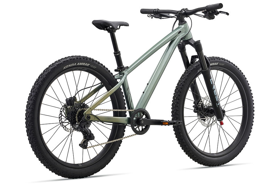 Liv Stp 24 Liv 2026 Kids Bike Rear