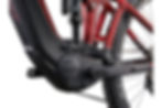 Giant Reign Eplus 2 E Bike Sangria D1 Side